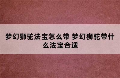 梦幻狮驼法宝怎么带 梦幻狮驼带什么法宝合适